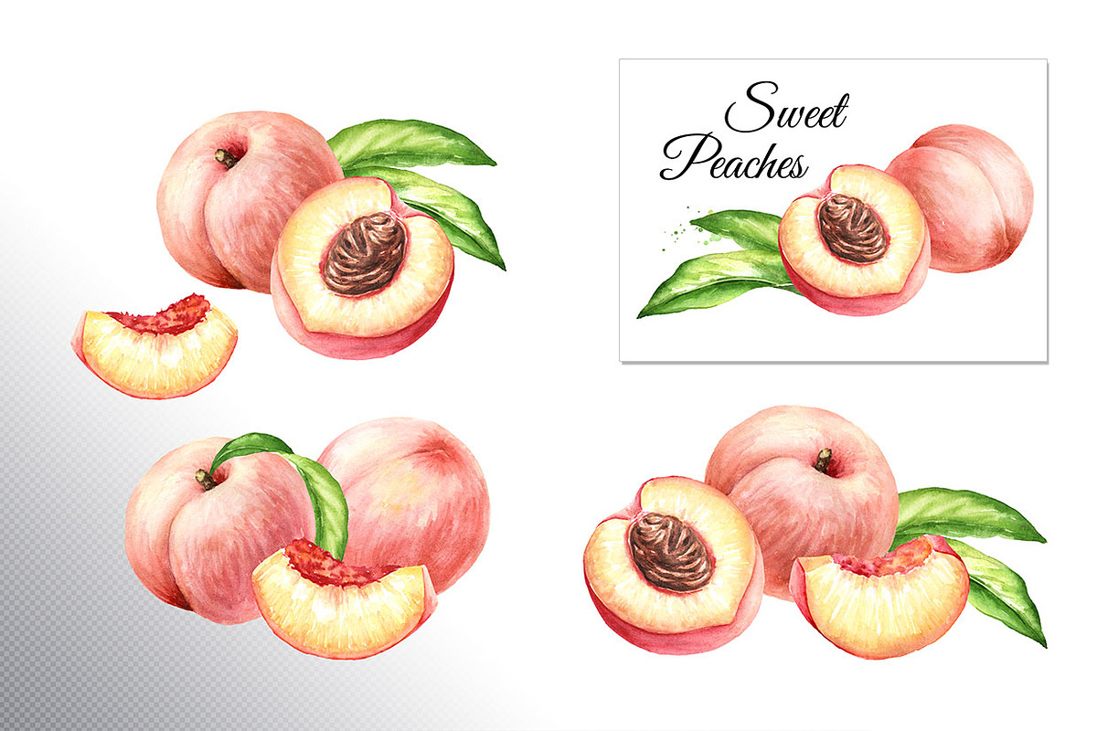 Ripe Peaches. Watercolor set, a Food Illustration by Daria Ustiugova (Photo 5 of 23)