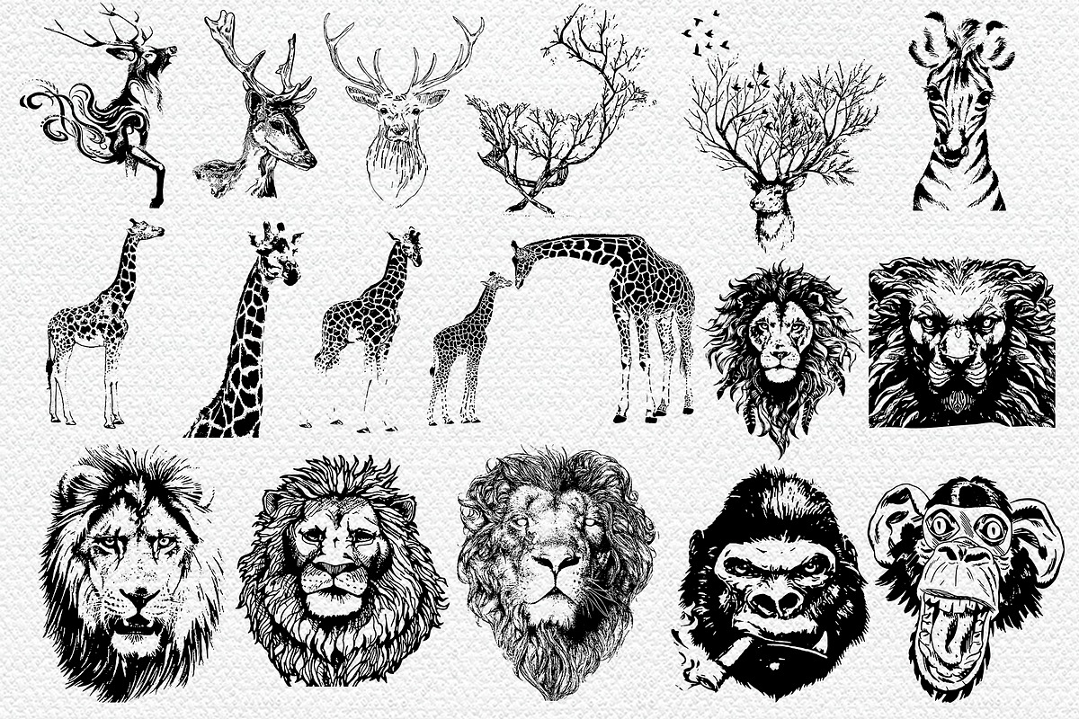 50 wild animals vector part 3, an Animal Illustration by AnastasiyaOleynik (Photo 8 of 9)