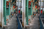 SAIGON COLLECTION, a Plug-in Add-On by Hoangrapherx (Thumbnail 5 of 7)