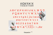 Bornice Modern Serif, a Serif Font by Damelev (Thumbnail 13 of 13)