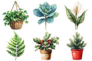 Christmas Houseplants Clipart Bundle, an Illustration by Daily.Designs (Thumbnail 4 of 5)