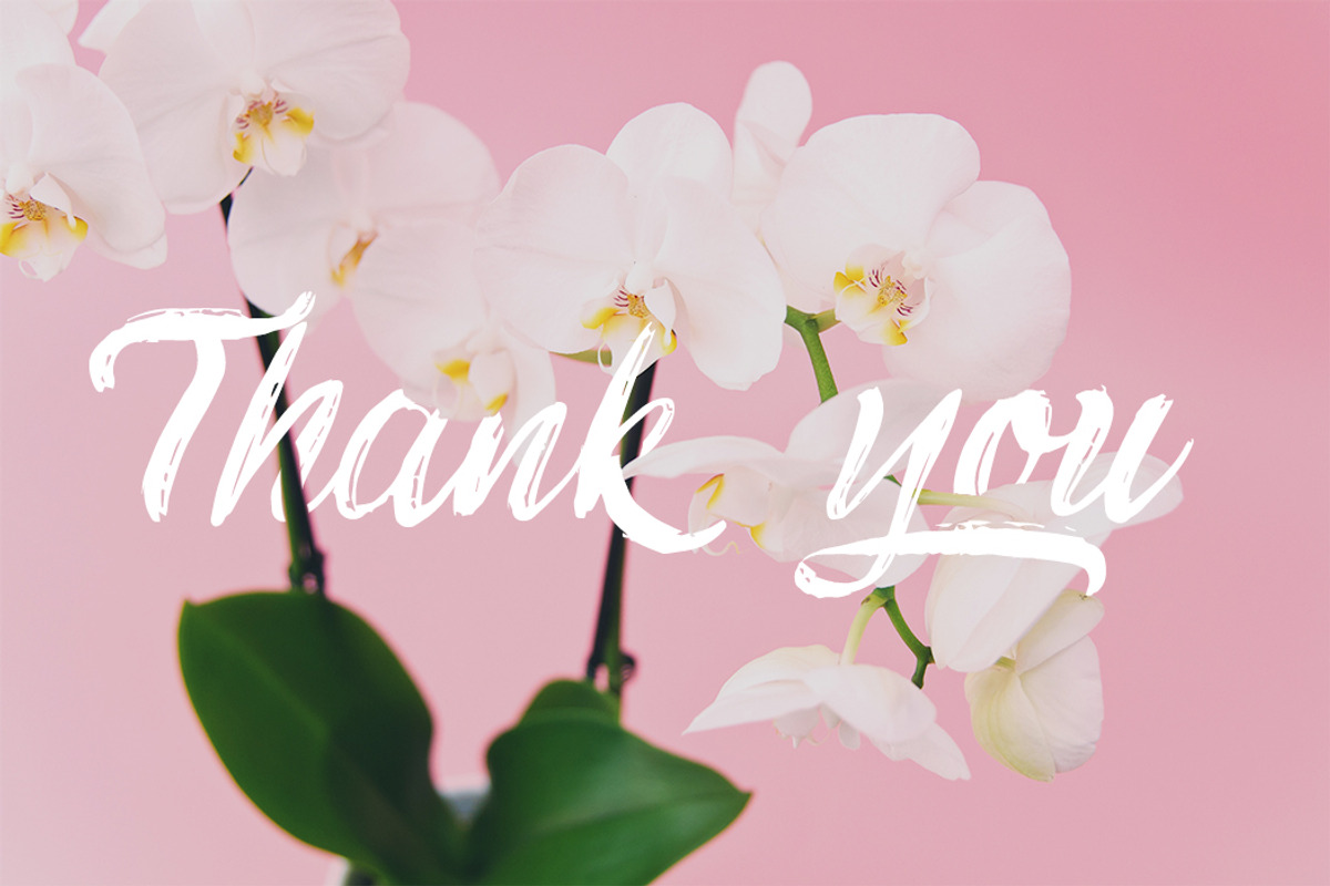 Rajomon, a Script Font by Etewut (Photo 9 of 10)