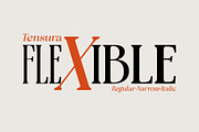 Tensura, a Serif Font by LuhopCreative (Thumbnail 21 of 21)