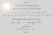 Shanti Script, a Script Font by Areatype (Thumbnail 5 of 8)