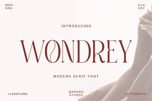 Wondrey - Modern Elegant Branding, a Serif Font by Qweera Studio