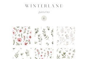 Watercolor Winter. Christmas Florals