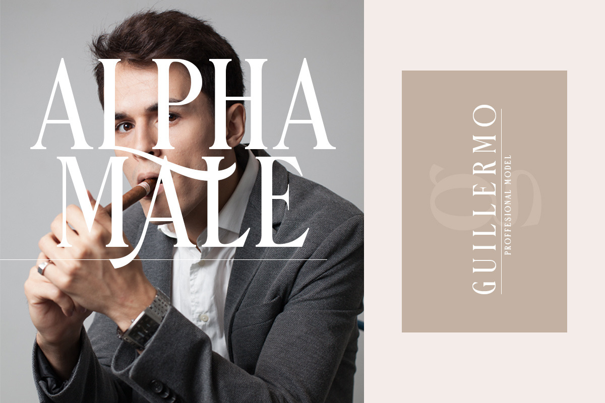 Danielle Harris - Editorial Font preview 6