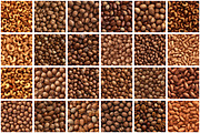 Nuts Seamless Pattern, a Pattern Graphic by Forhadx5 (Thumbnail 4 of 8)