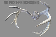 Deer Horns, an Animal 3D Model by Beatheart Creative Studio (Thumbnail 3 of 17)