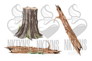 Tree Stump watercolor Clipart., a Decorative Illustration by NKTKNS (Thumbnail 3 of 5)