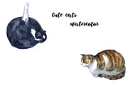 Watercolor Clipart, Cat Clipart, png, an Animal Illustration by KomtsyanTatyanaArt (Thumbnail 5 of 10)