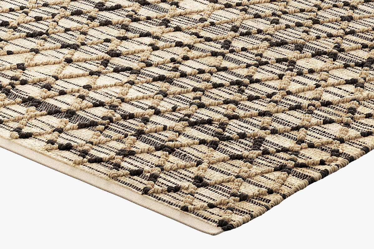 Joybird Demi Rug, a Furniture 3D Model by 3dmitruk (Photo 7 of 15)