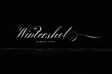 Winterskol Script Font