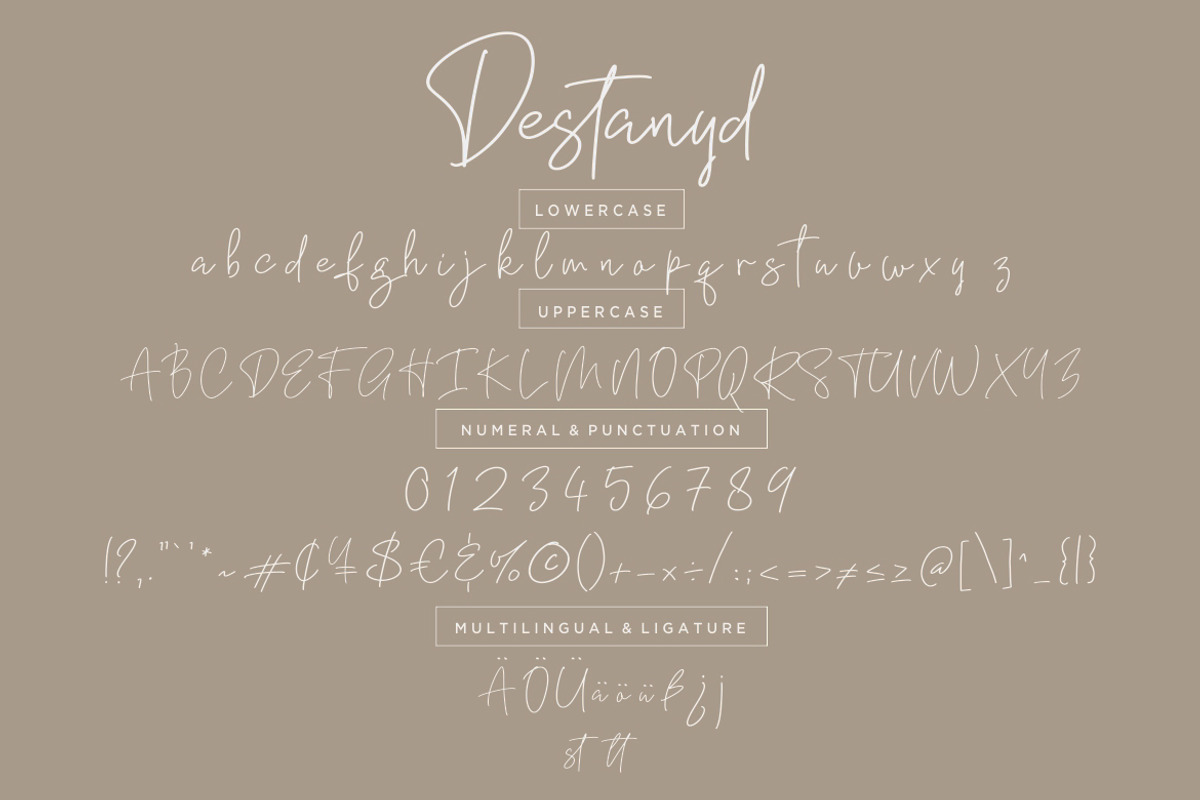 Destanyd Monoline Wedding Font preview 7