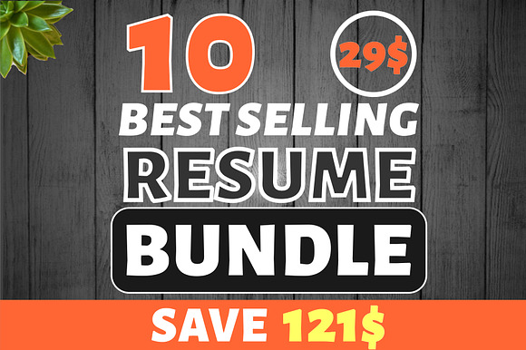 10 Best Selling Resume Mega Bundle preview 4
