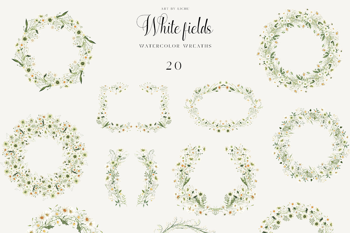 White Fields wildflowers flora, an Education Illustration by LiChu Art (Photo 8 of 12)