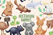Australian Animals Illustrations, an Animal Illustration by Doodle and Stitch (Thumbnail 1 of 2)