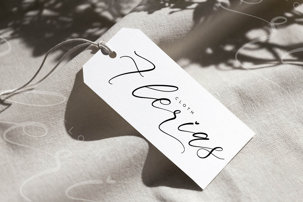 Saltngos Modern Calligraphy, a Script Font by Letterena Studios Script (Photo 6 of 15)