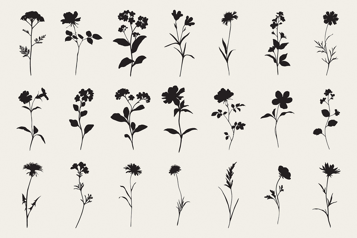 Botanical Flower Silhouettes Set, an Object Illustration by NatalieArtShop (Photo 4 of 12)