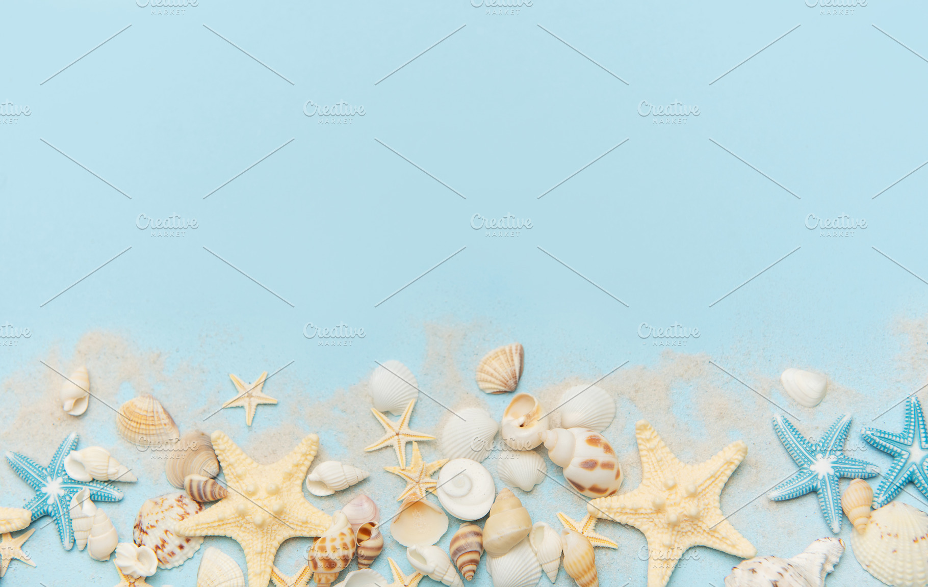 Starfish and seashells arranged on sandy blue background, a Holiday Photo by Olena Rudo