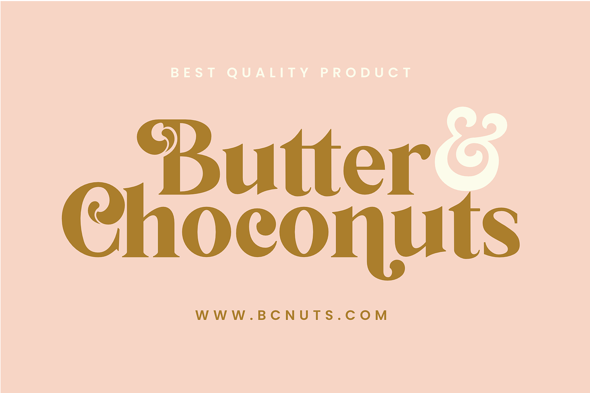Backslash - Elegant Serif font, a Serif Font by Silverdav (Photo 7 of 10)