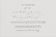 Handesa Mornites Elegant Script, a Script Font by Storytype Studio (Thumbnail 14 of 15)