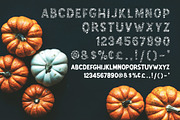 Happy Fall Display Font Duo, a Font by ByGiftyJane (Thumbnail 2 of 7)