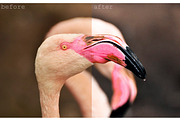 Modern quiet Lightroom preset, an Action Add-On by OceanChild (Thumbnail 10 of 13)