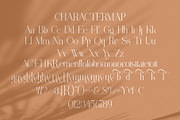 Rankim || Modern Classy Serif Font, a Serif Font by Ermedia Studio (Thumbnail 10 of 10)