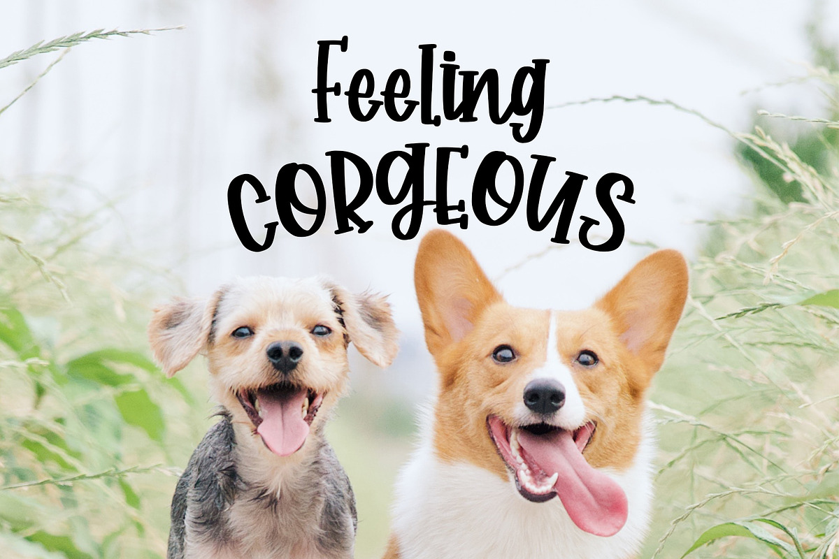 Corgi Puppy - Handwritten Font preview 3