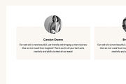 Designbiz WordPress Theme, a WordPress Template by Theme Junkie (Thumbnail 4 of 4)