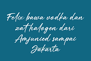 Velomi Juice– Elegant Handwritten, a Handwritten Font by Basnistudio (Thumbnail 7 of 13)