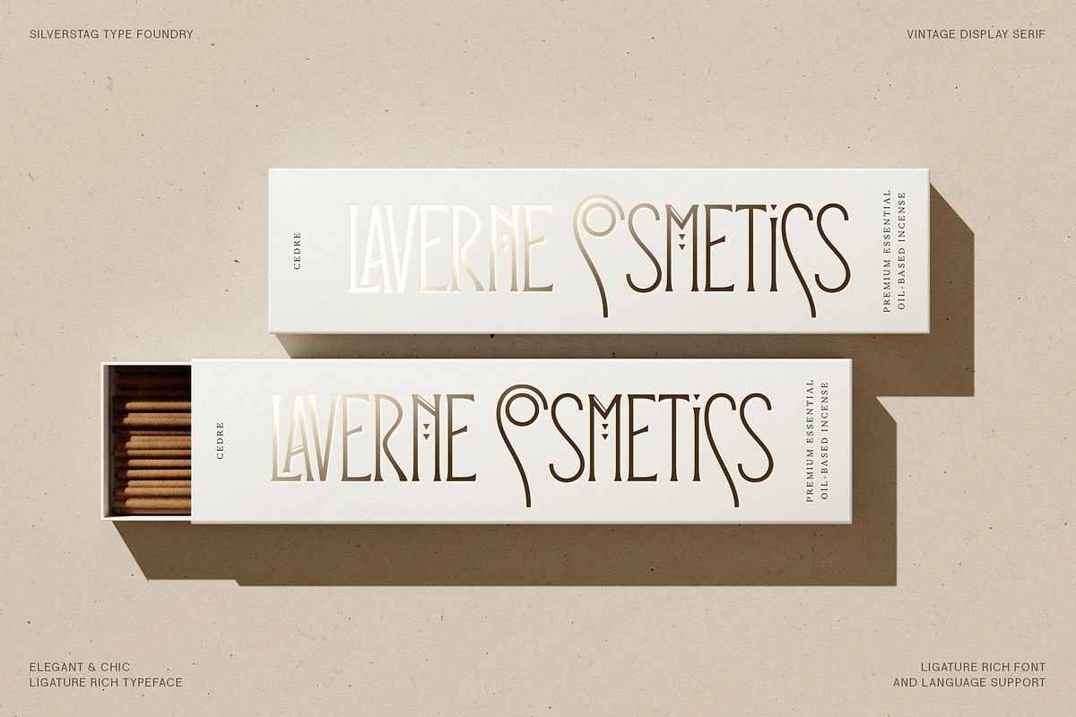 Reina Sofia - Vintage Display Serif, a Serif Font by SilverStag Type Foundry (Photo 30 of 30)