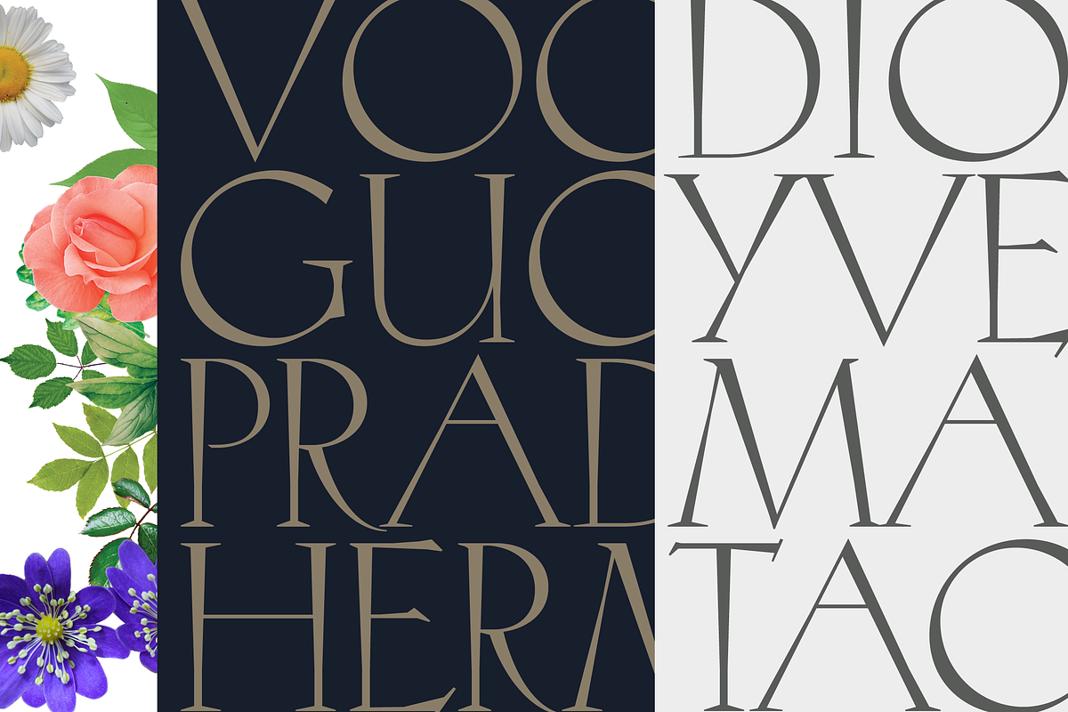 Hellen - Serif Font, a Serif Font by Genilson Santos (Photo 11 of 21)