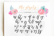 Patricia Dorothy Script, a Script Font by BlueRobinDesignShop (Thumbnail 7 of 9)