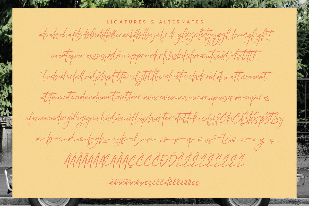 September Butters Modern Handwritten, a Script Font by stylishtype.co (Photo 14 of 15)