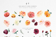 Watercolor Clipart - Paprika, an Illustration by Twigs and Twine (Thumbnail 10 of 12)