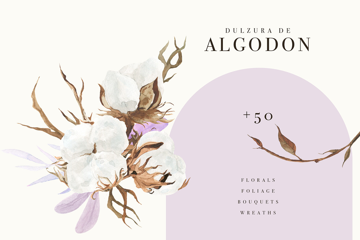 Spring Cotton and Dried Foliage, an Illustration by AnaPierceArt (Photo 1 of 6)