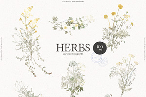 HERBS Botanica & Glitter Effect