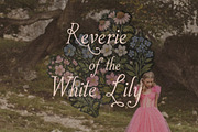 Whimsical Handwritten Serif Font Duo, a Handwritten Font by Laras Wonderland (Thumbnail 12 of 15)