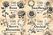 2000 Botanical Lover Stamp Brushes, a Brushes & More by CreativeProBrushes (Thumbnail 2 of 6)