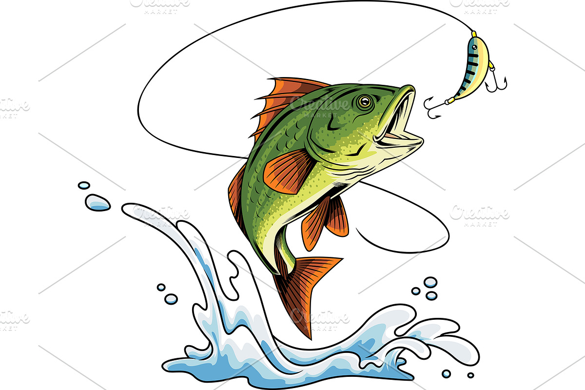 Aggressive Bass Fish, an Illustration by HitToon