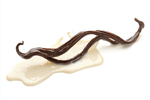 Vanilla bean resting on creamy subst, a Photo by Tanuart