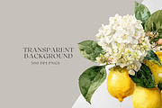 Watercolor Lemons & Hydrangeas, a Decorative Illustration by ThaismotaCreativeCo (Thumbnail 12 of 12)