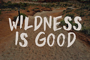 Brush Font. WILD Hand drawn Typeface, a Font by Mark Skitsky (Thumbnail 3 of 6)