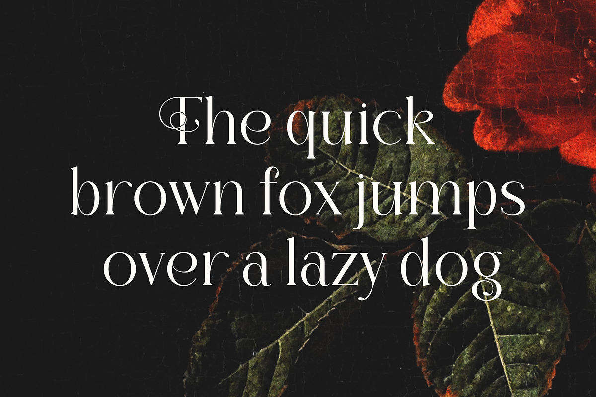 Florality - Modern Serif Font, a Serif Font by Almeera Std (Photo 5 of 5)
