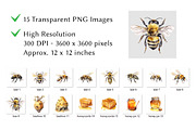Honey Bee Watercolor Clipart, an Animal Illustration by milkghost (Thumbnail 2 of 2)