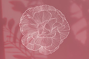 Whimsical Flowers Collection, a Decorative Illustration by ilonitta (Thumbnail 4 of 12)