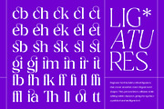 Ragmont Serif, a Serif Font by Megatype (Thumbnail 13 of 15)
