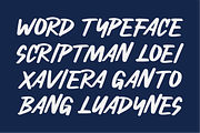 Scriptman, a Script Font by ahweproject (Thumbnail 6 of 7)
